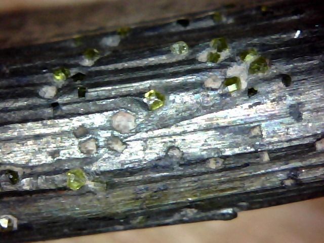Алмазный сегмент KEOS фото с микроскопа